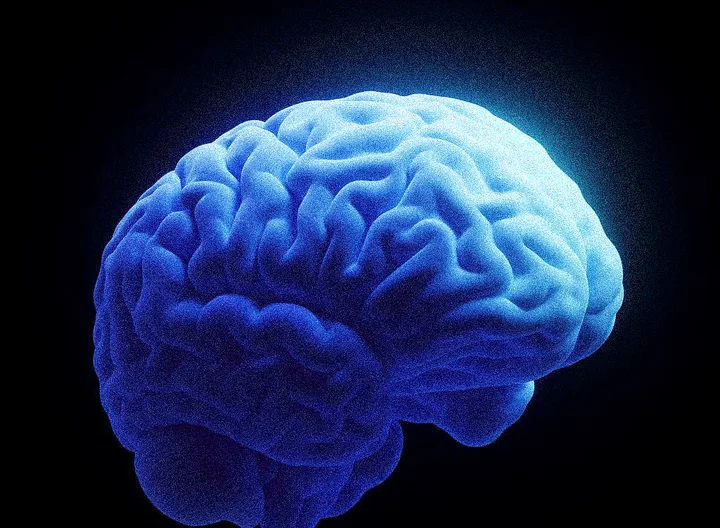 A glowing blue rendering of a human brain